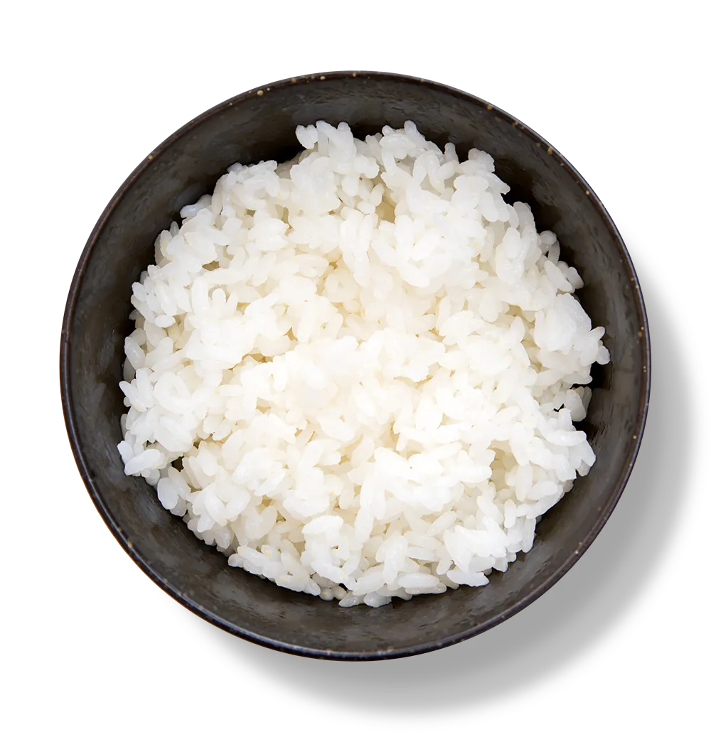 白飯（M）