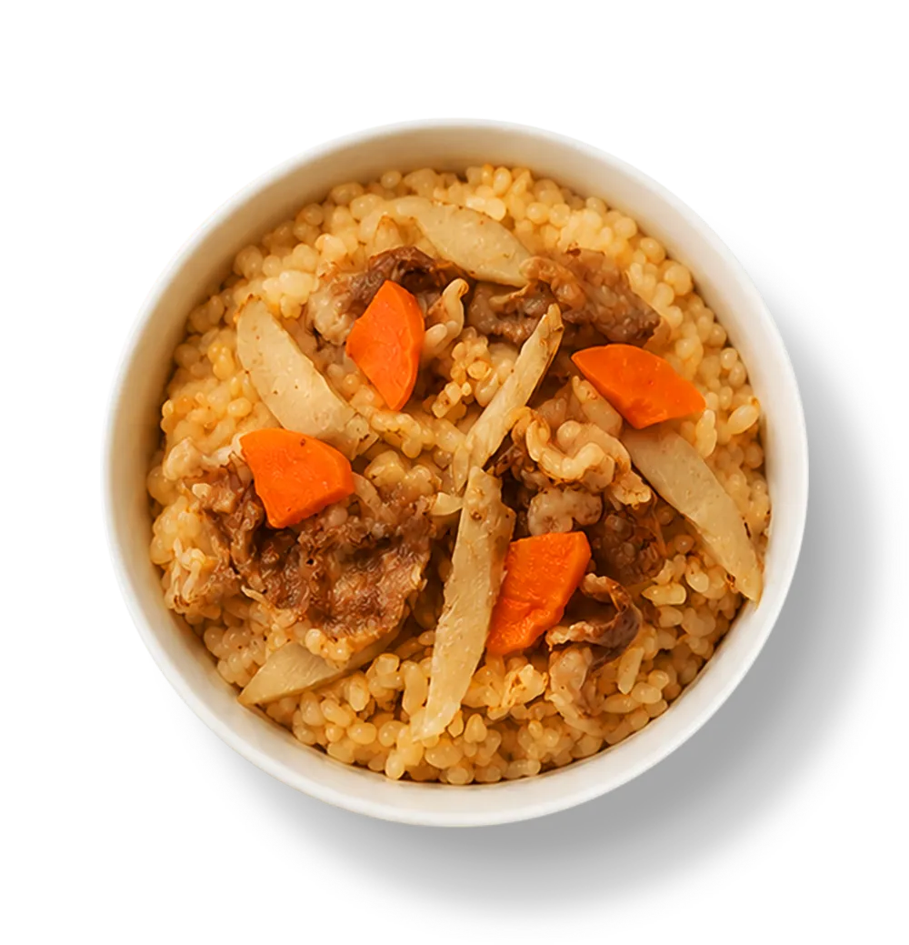 肉ごぼうごはん