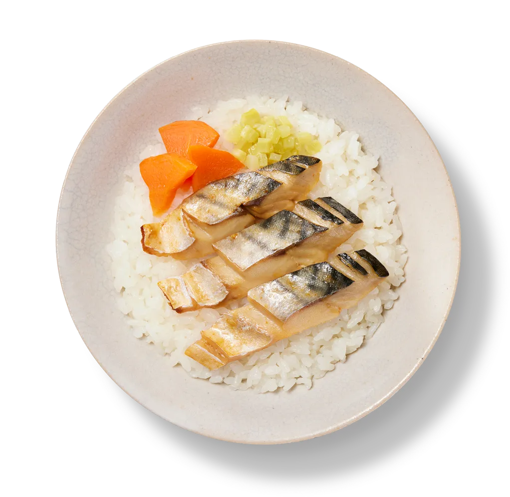 極蒸サバご飯